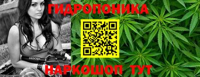 индика Аргун