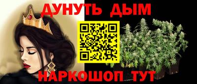 индика Аргун