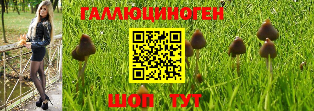 Галлюциногенные грибы Magic Shrooms  Галлюциногенные грибы Cubensis  Вичуга  Вход с VPN 