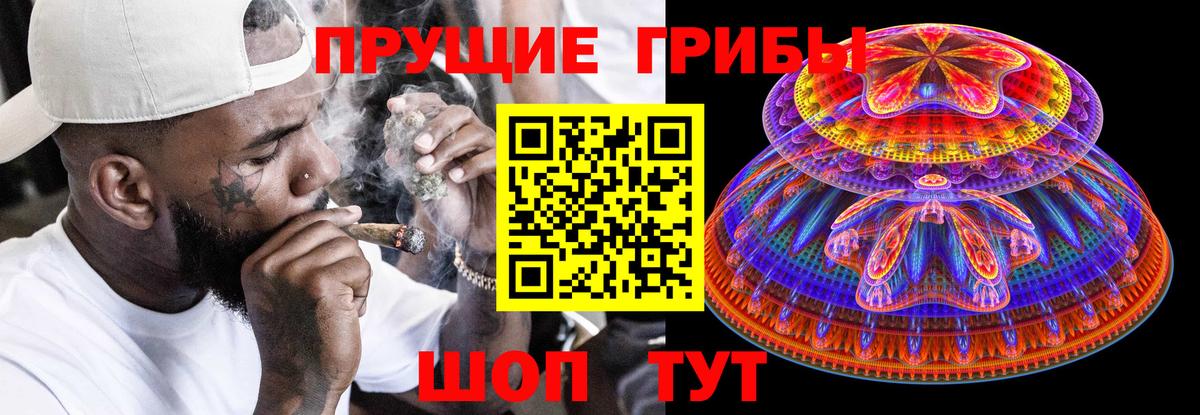 Псилоцибиновые грибы мицелий Вичуга